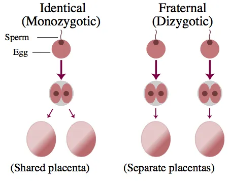 FAQ: Психогенетика: как гены влияют на нашу жизнь