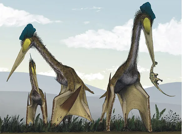 Mark Witton and Darren Naish — Quetzalcoatlus northropi