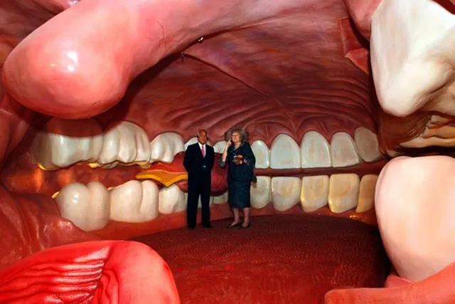 Corpus. Лейден, Нидерланды