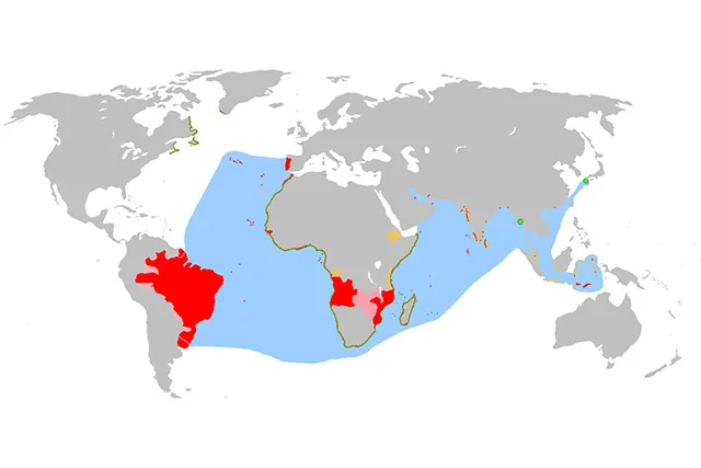 Лонгриды: Главы | От шелка до кремния