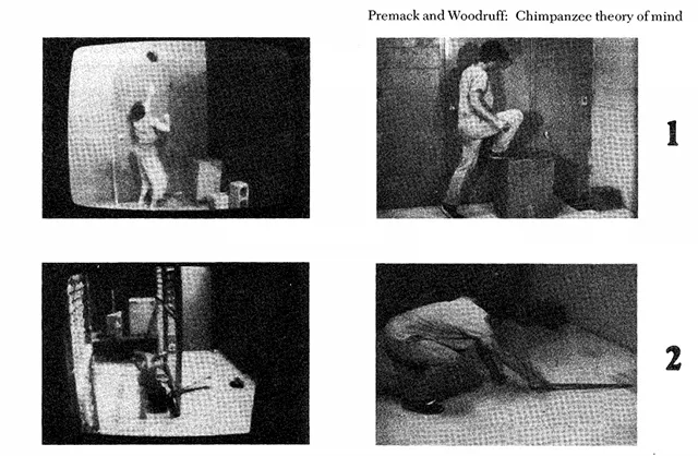 Иллюстрации к статье Does the chimpanzee have a theory of mind?