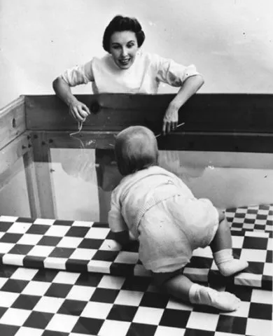 Эксперимент Элеанор Гибсон