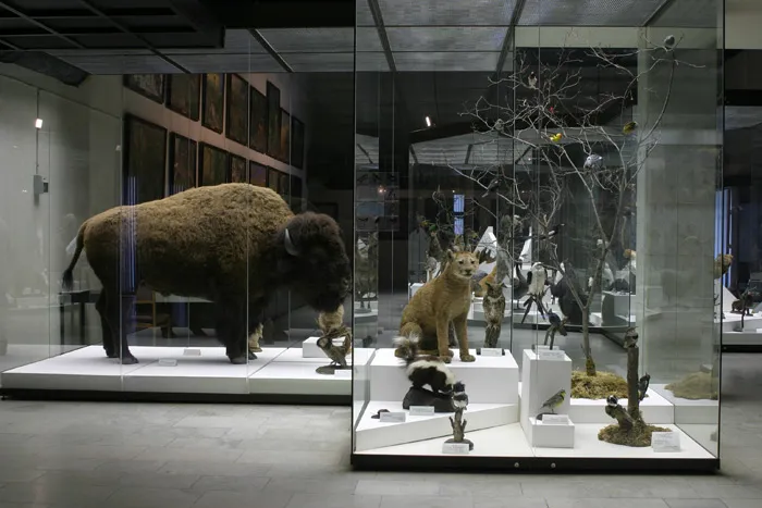 От редакции: 9 научных музеев: Россия