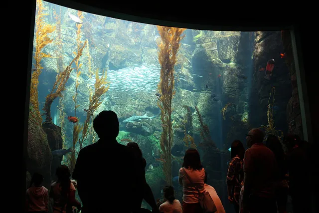 От редакции: 9 научных музеев: Северная Америка