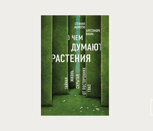 Главы | О чем думают растения