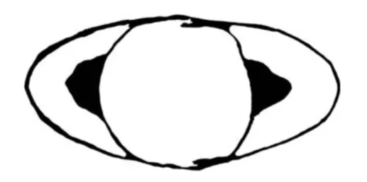 Лонгриды: Главы | Планета, поглотившая своих детей