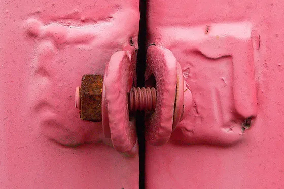 От редакции: 8 вопросов о любви у людей и животных