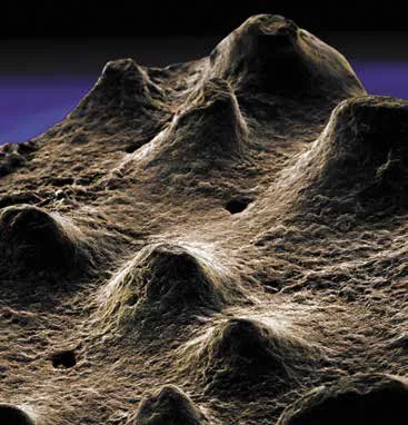 Лонгриды: Главы | Размножение и половая жизнь динозавров