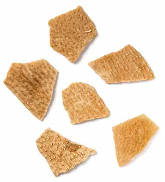 Лонгриды: Главы | Размножение и половая жизнь динозавров