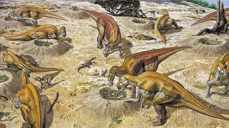 Лонгриды: Главы | Размножение и половая жизнь динозавров