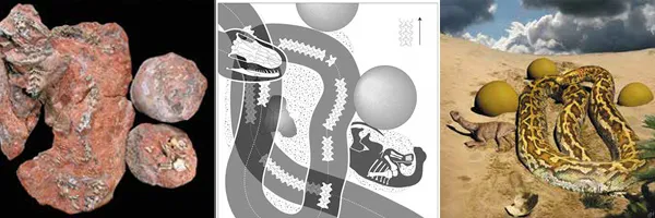 Лонгриды: Главы | Размножение и половая жизнь динозавров