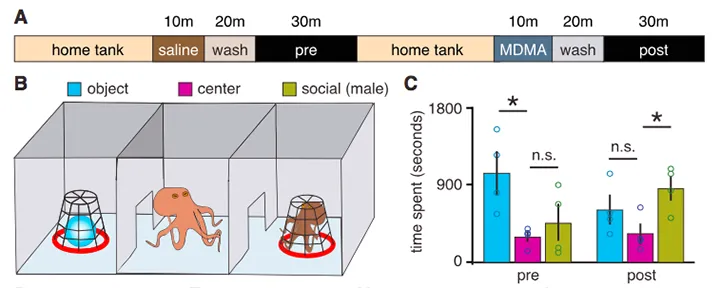 От редакции: Животные под наркотиками: 4 эксперимента