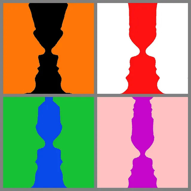 Изображение: Vase illusion/ Jeremy Stockwell