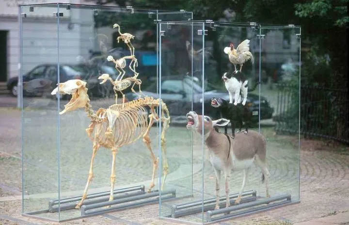 От редакции: Галерея недели: Kunsthalle в Бремене