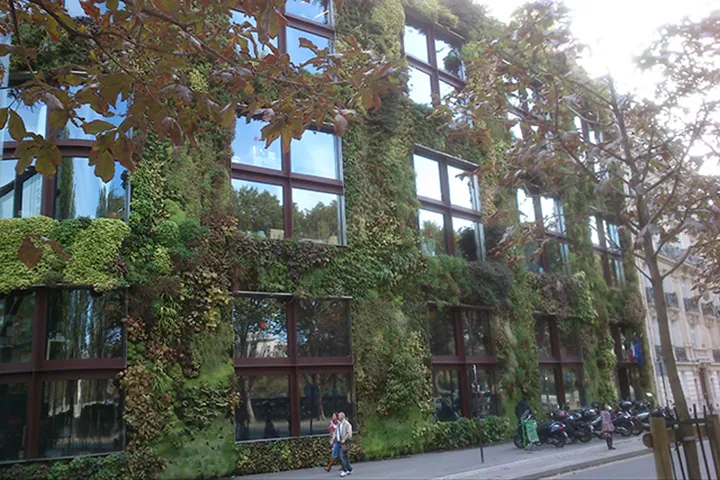 От редакции: Галерея недели: Музей на набережной Бранли в Париже