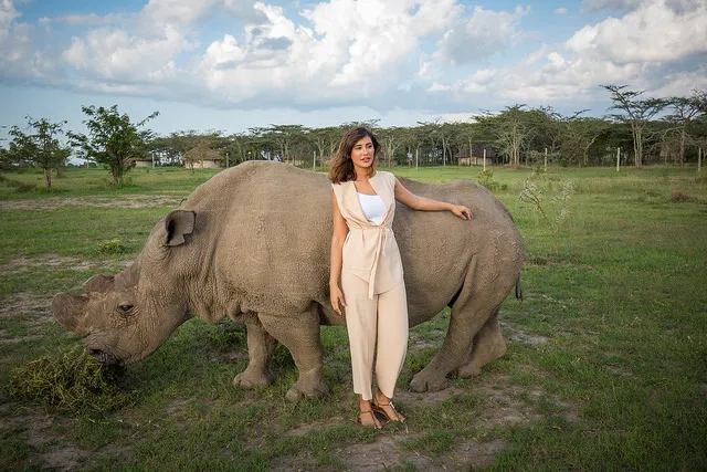 Актриса Наргис Факхри с носорогом Суданом