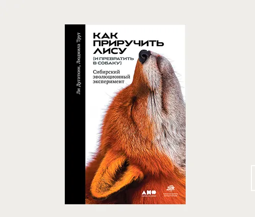 Главы | Нет больше огнедышащих драконов