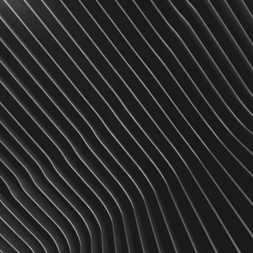 Интервью с биологом Светланой Боринской
