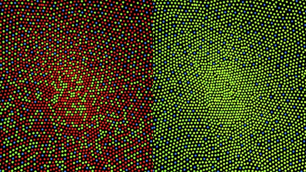 нормальным зрением (слева) и с протанопической дихромазией (справа)