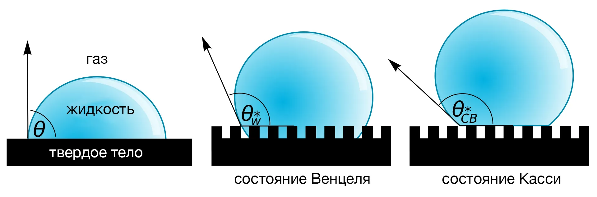 Состояние Венцеля и состояние Касси