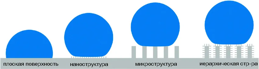 Двухуровневая шероховатость: на микроструктуру нанесены наноструктуры