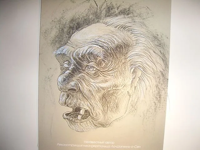 Реконструкция человека из Ла-Шапель-о-сен, неизвестный автор. Биологический музей имени К. А. Тимирязева // wikipedia.org