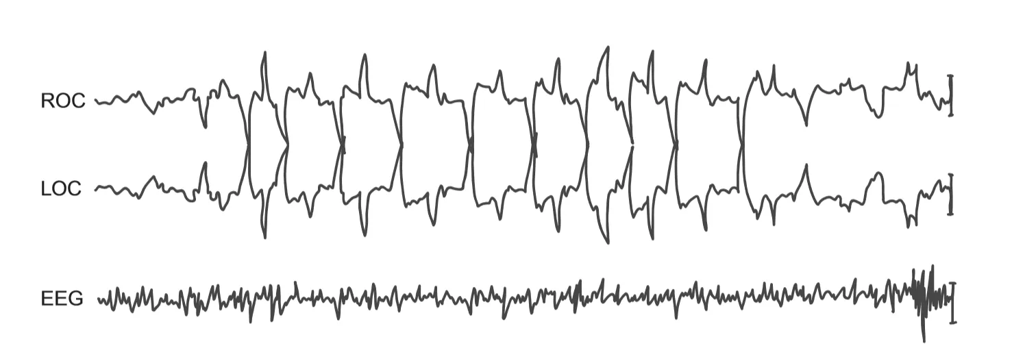 Лонгриды: Главы | Существуют ли вещие сны?