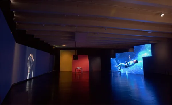 Eija-Liisa Ahtila, Potentiality for Love (Mahdollinen Rakkaus), 2018