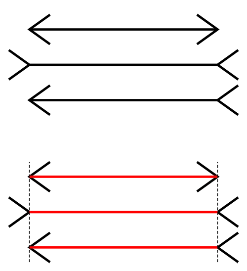 FAQ: Что иллюзии могут рассказать о работе сознания?