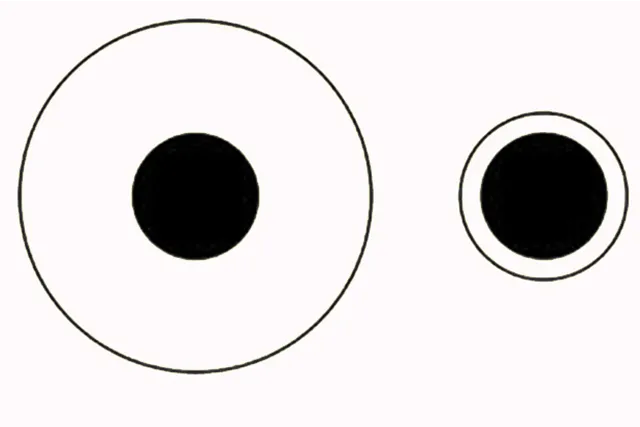 FAQ: Что иллюзии могут рассказать о работе сознания?