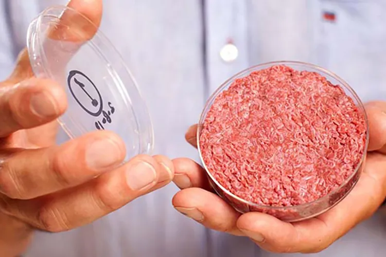 Искусственная говядина Mosa Meat