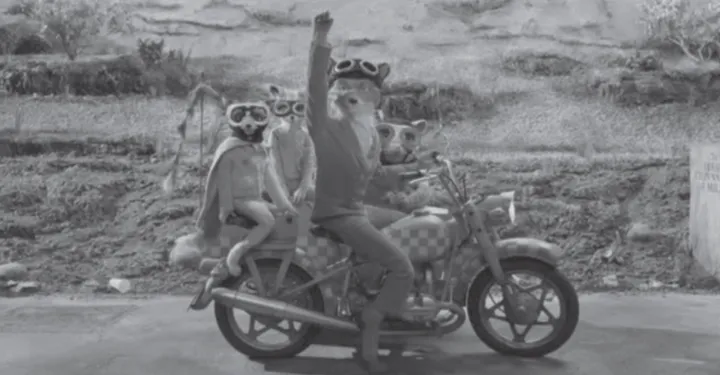 Лонгриды: Главы | Метамодерн, quirky и кинокритика