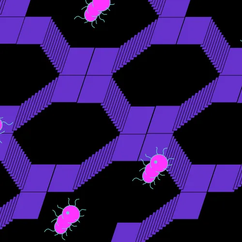 Пятница, 13-е: тест о фобиях