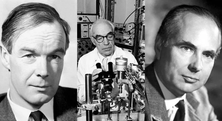 лауреаты Нобелевской премии по медицине или физиологии 1963 г.