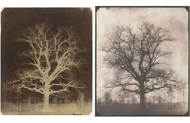 Пример негативного и позитивного изображения