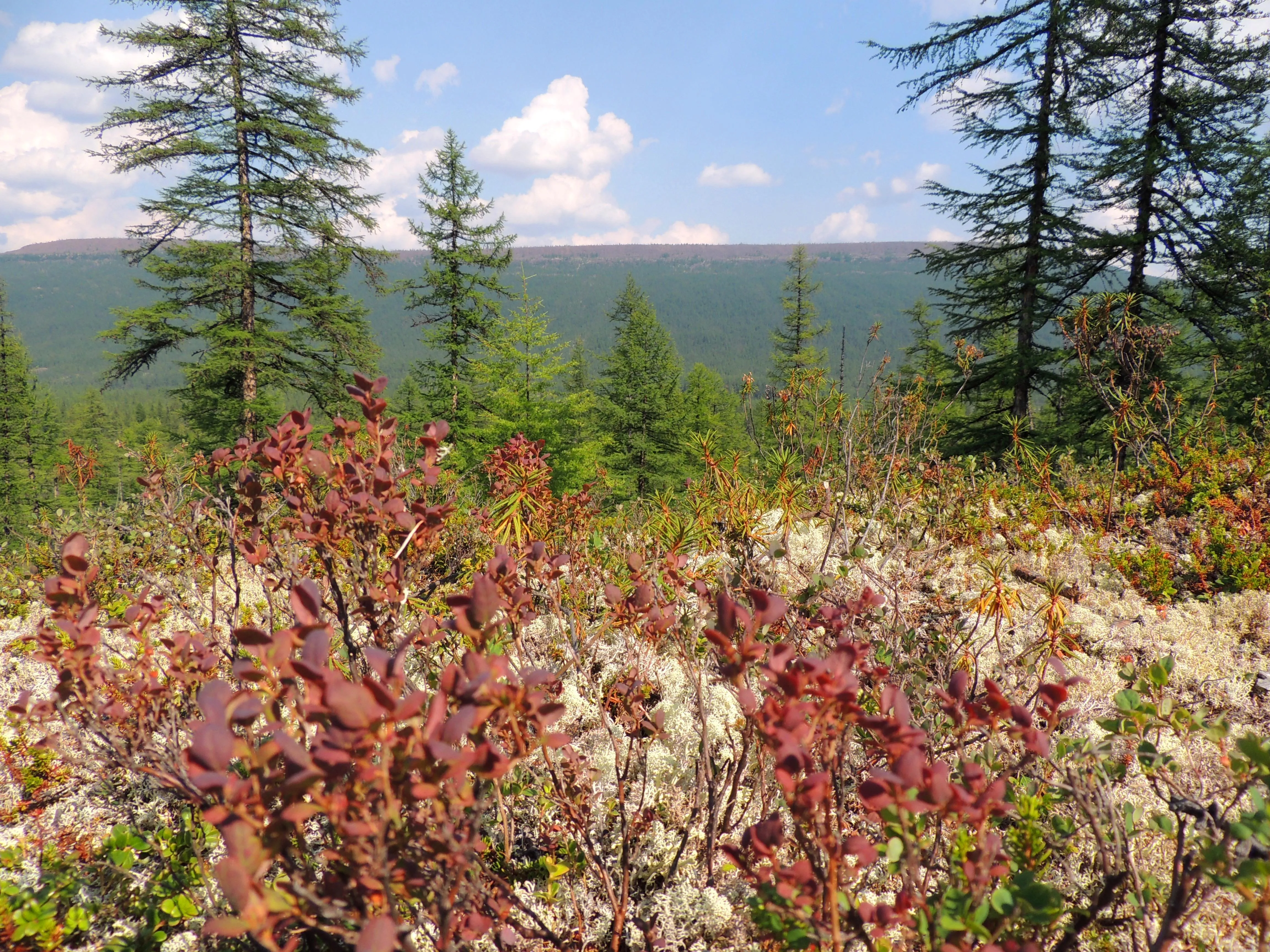 Пейзажи Путорана