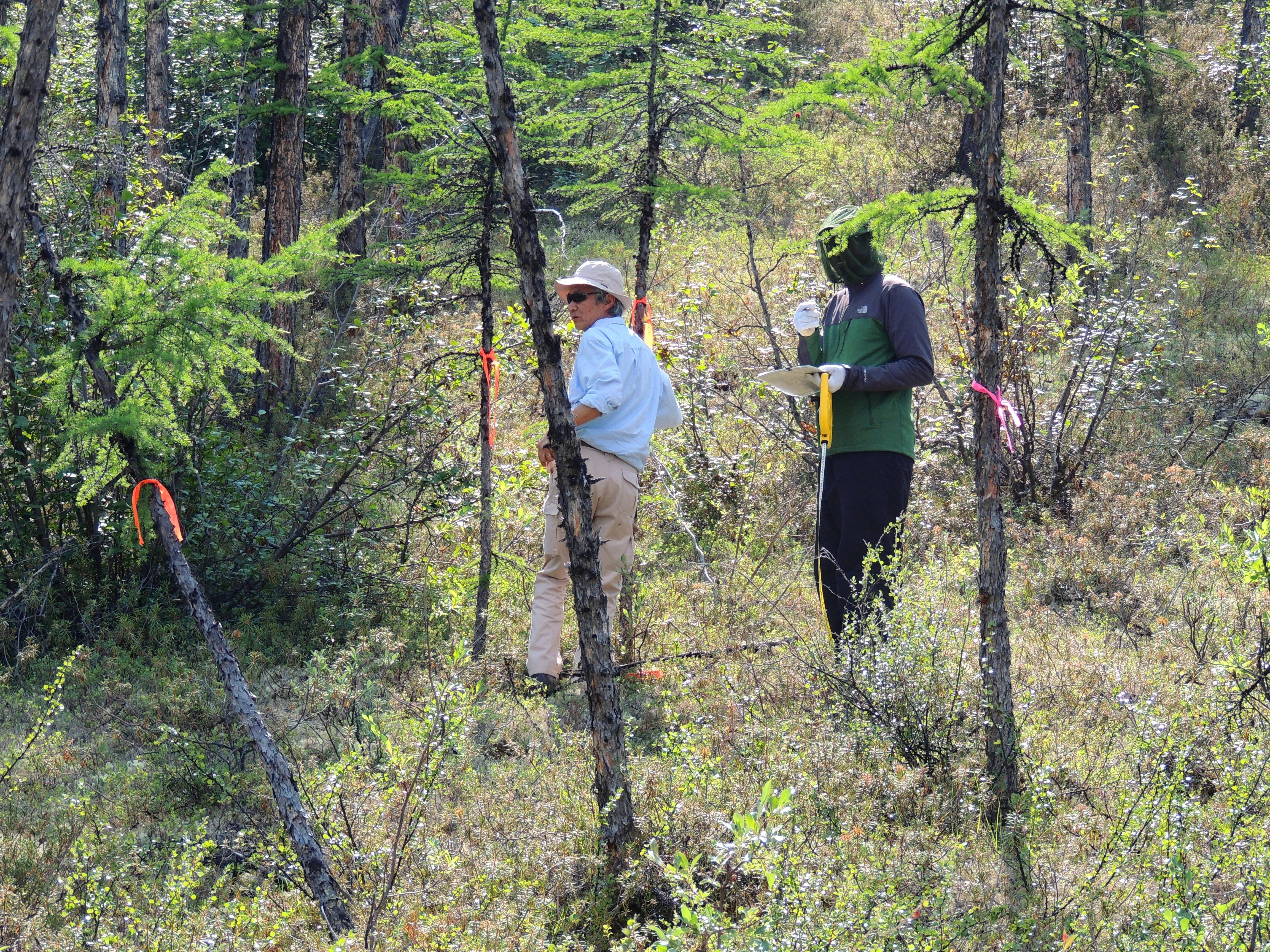 Экспедиция на плато Путорана