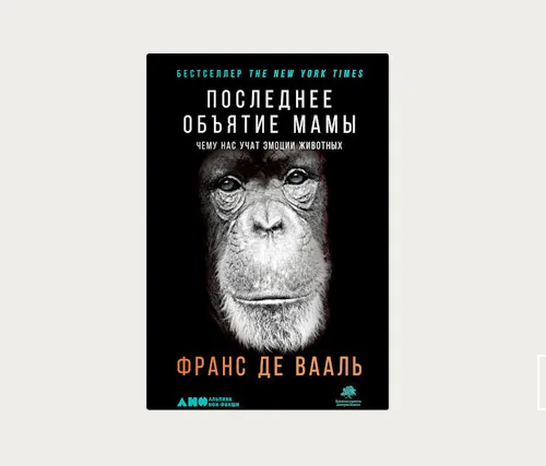 Главы | Отражение Души. Смех и улыбка у приматов