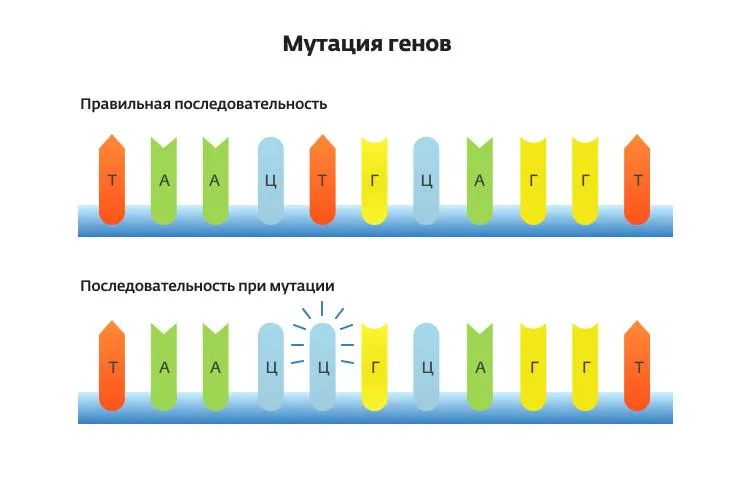 Генные мутации