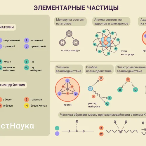 Ксения Рыкова для ПостНауки