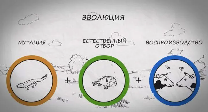 tv: Эволюционные алгоритмы