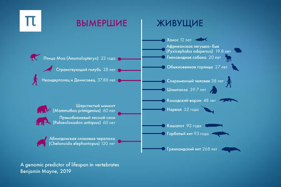 Ксения Рыкова