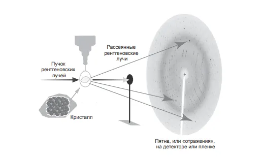 Рентгеновские лучи попадают на кристалл