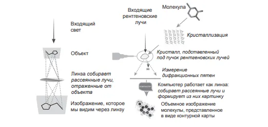 Получения карты: при помощи линзы и рентгеновской кристаллографии