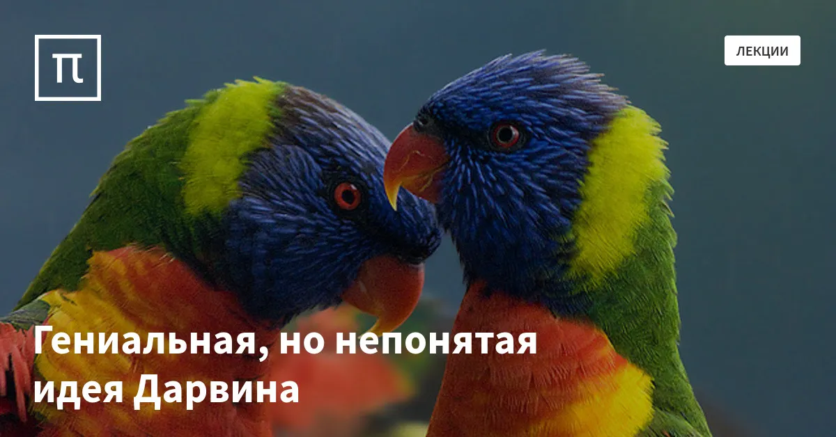 Гениальная, но непонятая идея Дарвина — все самое интересное на ПостНауке