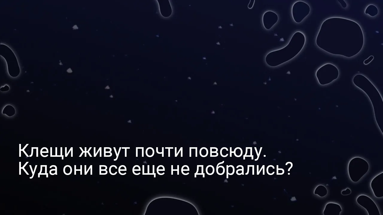 ИгрыМаленькая жизнь: тест о клещах