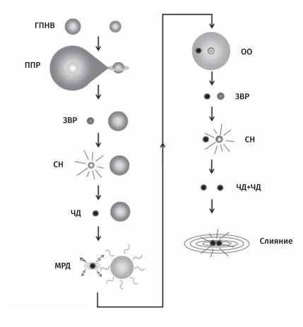 Эволюция, ведущая к возникновению редкой системы двойной черной дыры.