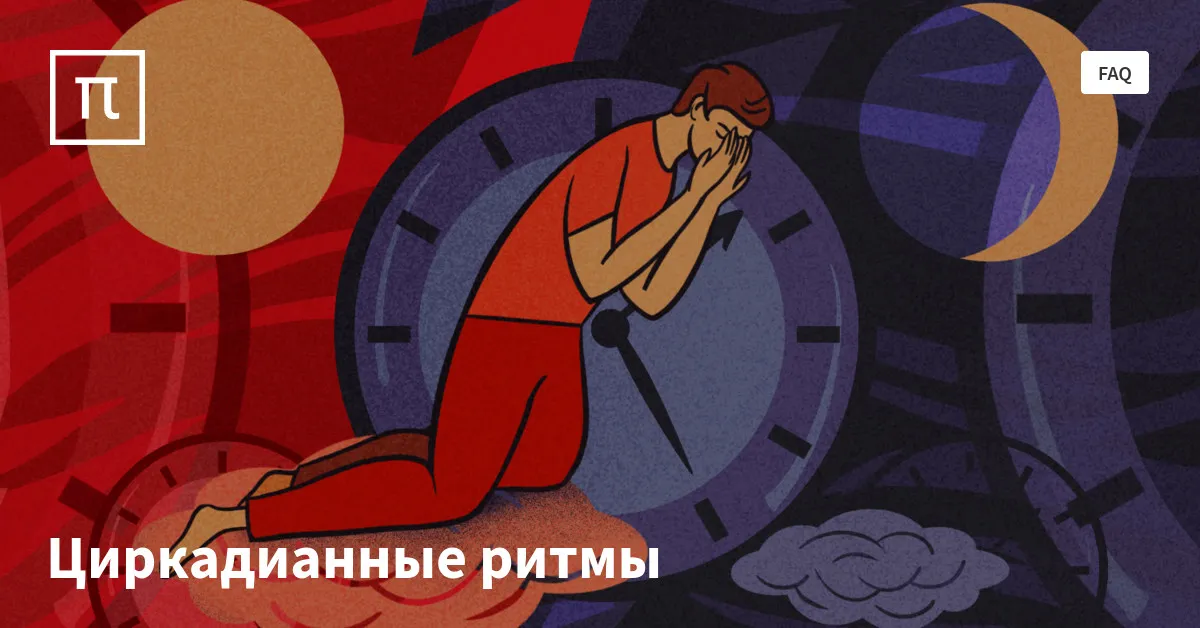 Циркадианные ритмы — все самое интересное на ПостНауке
