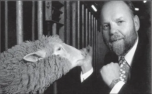 Иэн Уилмут и овечка Долли