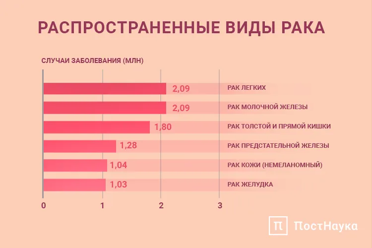 Распространенные виды рака